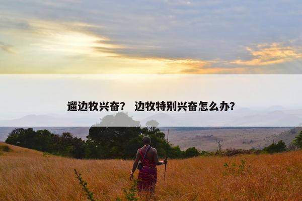 遛边牧兴奋？ 边牧特别兴奋怎么办？