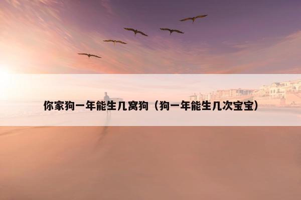 你家狗一年能生几窝狗（狗一年能生几次宝宝）