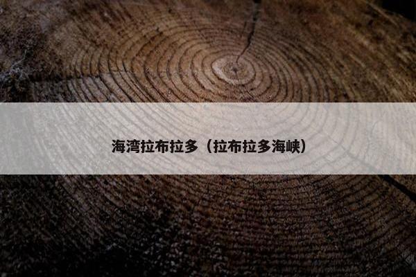 海湾拉布拉多（拉布拉多海峡）