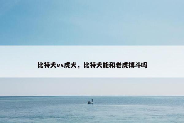 比特犬vs虎犬，比特犬能和老虎搏斗吗