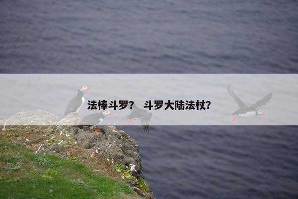 法棒斗罗？ 斗罗大陆法杖？