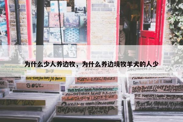 为什么少人养边牧，为什么养边境牧羊犬的人少