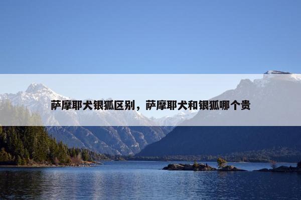 萨摩耶犬银狐区别，萨摩耶犬和银狐哪个贵