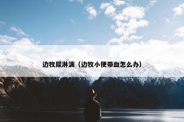 边牧尿淋漓（边牧小便带血怎么办）