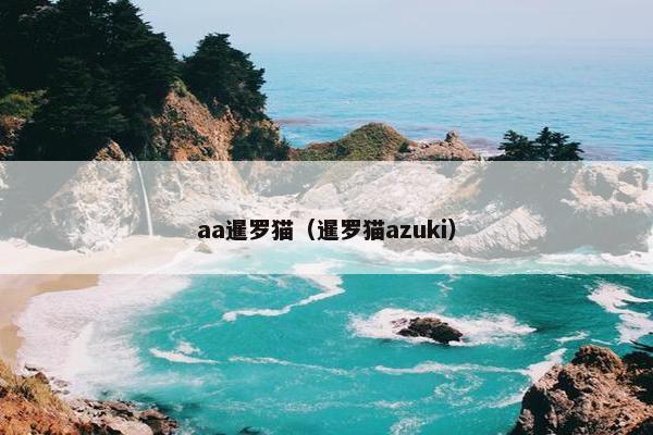 aa暹罗猫（暹罗猫azuki）