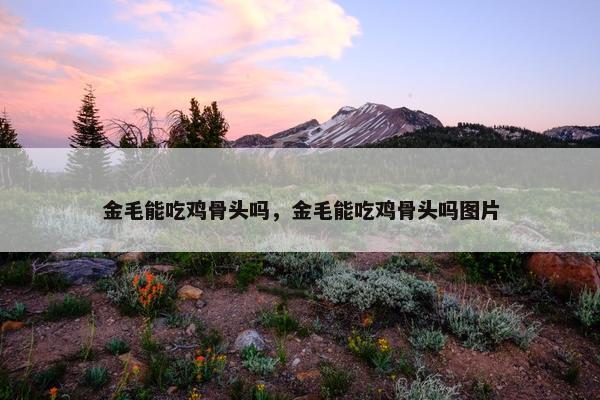 金毛能吃鸡骨头吗，金毛能吃鸡骨头吗图片