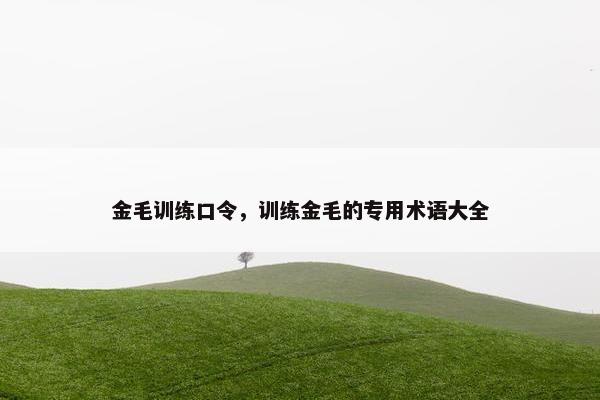 金毛训练口令，训练金毛的专用术语大全