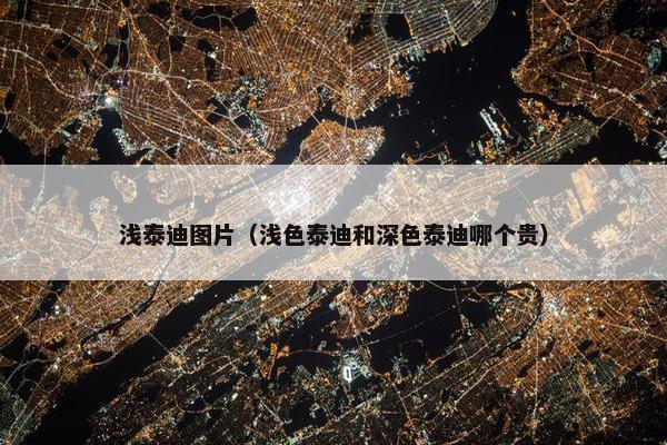 浅泰迪图片（浅色泰迪和深色泰迪哪个贵）