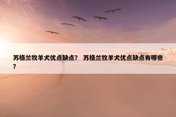 苏格兰牧羊犬优点缺点？ 苏格兰牧羊犬优点缺点有哪些？