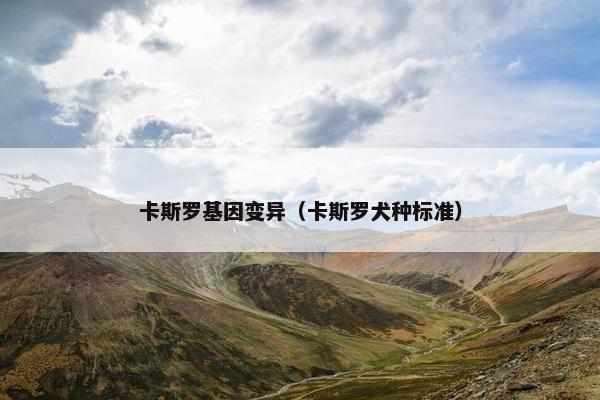 卡斯罗基因变异（卡斯罗犬种标准）