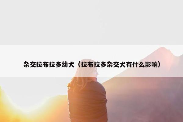 杂交拉布拉多幼犬（拉布拉多杂交犬有什么影响）