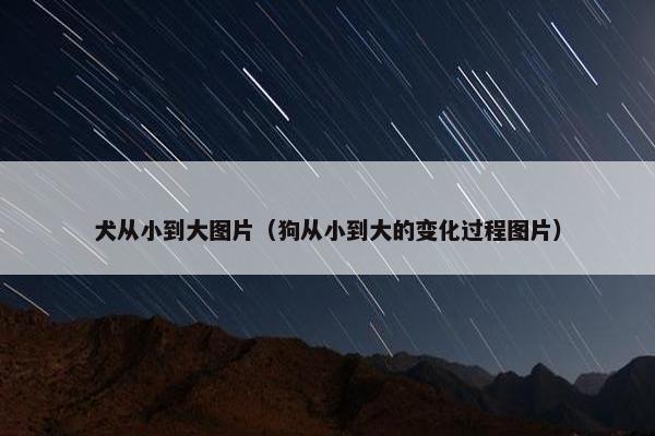 犬从小到大图片(狗从小到大的变化过程图片) 犬从小到大图片(狗从小到大的变化过程图片)