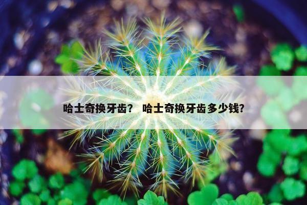 哈士奇换牙齿? 哈士奇换牙齿多少钱? 哈士奇换牙齿? 哈士奇换牙齿多少钱?