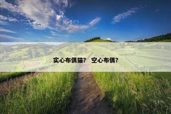 实心布偶猫? 空心布偶? 实心布偶猫? 空心布偶?
