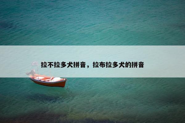 拉不拉多犬拼音，拉布拉多犬的拼音