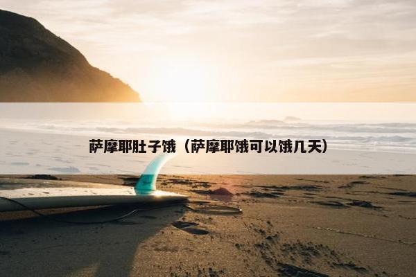 萨摩耶肚子饿（萨摩耶饿可以饿几天）