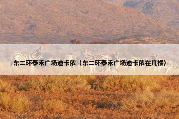 东二环泰禾广场迪卡侬（东二环泰禾广场迪卡侬在几楼）