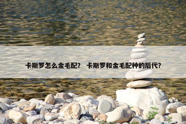 卡斯罗怎么金毛配？ 卡斯罗和金毛配种的后代？