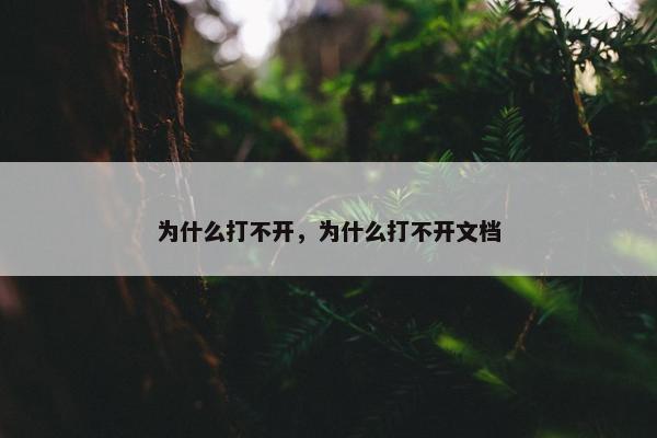 为什么打不开，为什么打不开文档