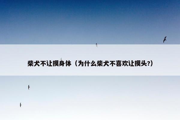柴犬不让摸身体（为什么柴犬不喜欢让摸头?）