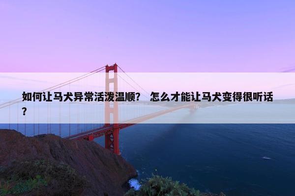 如何让马犬异常活泼温顺？ 怎么才能让马犬变得很听话？