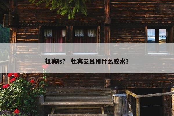 杜宾ls？ 杜宾立耳用什么胶水？