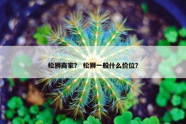 松狮商家？ 松狮一般什么价位？