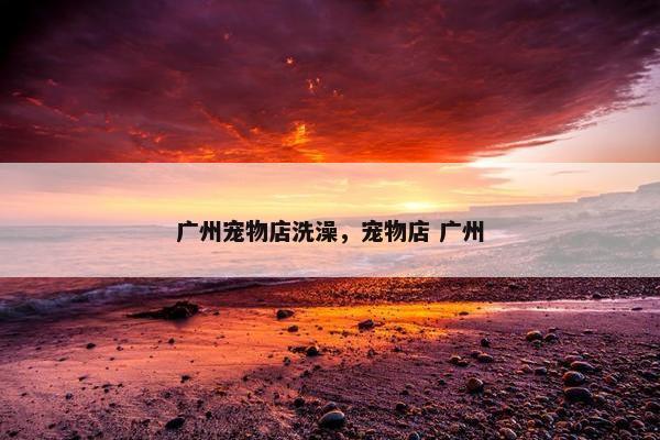 广州宠物店洗澡，宠物店 广州