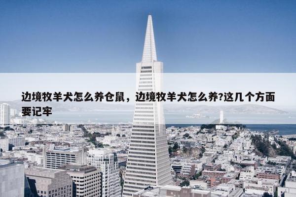 边境牧羊犬怎么养仓鼠，边境牧羊犬怎么养?这几个方面要记牢