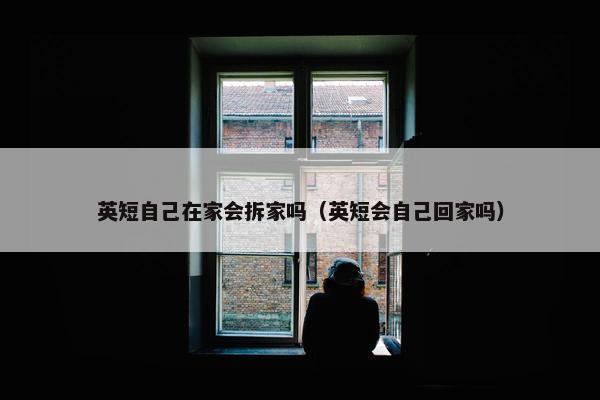 英短自己在家会拆家吗（英短会自己回家吗）
