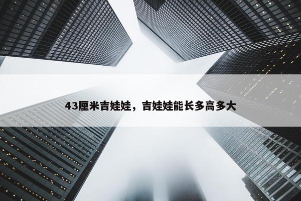 43厘米吉娃娃，吉娃娃能长多高多大