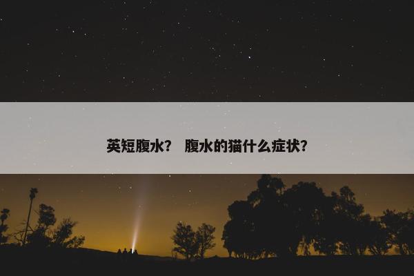 英短腹水？ 腹水的猫什么症状？