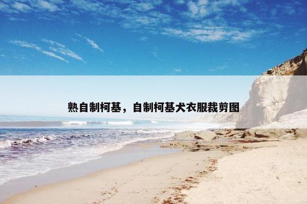 熟自制柯基，自制柯基犬衣服裁剪图