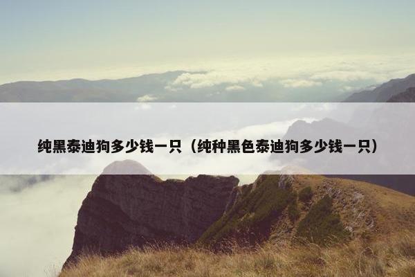 纯黑泰迪狗多少钱一只(纯种黑色泰迪狗多少钱一只) 纯黑泰迪狗多少钱一只(纯种黑色泰迪狗多少钱一只)