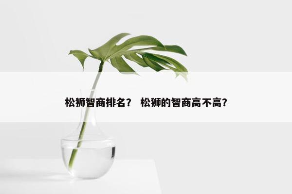 松狮智商排名？ 松狮的智商高不高？