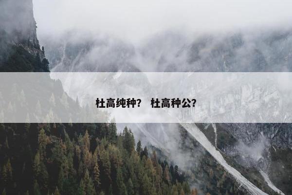 杜高纯种？ 杜高种公？