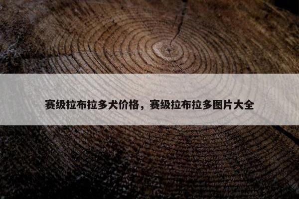 赛级拉布拉多犬价格，赛级拉布拉多图片大全