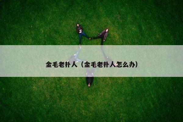 金毛老扑人（金毛老扑人怎么办）
