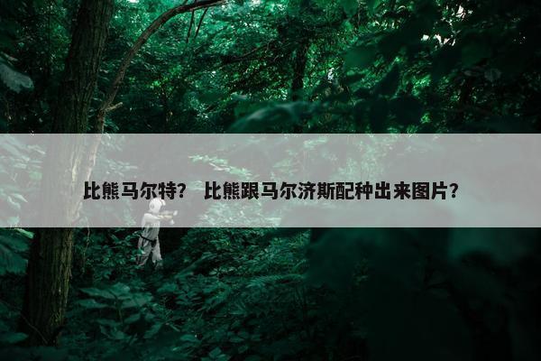 比熊马尔特？ 比熊跟马尔济斯配种出来图片？