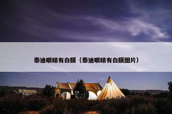 泰迪眼睛有白膜（泰迪眼睛有白膜图片）