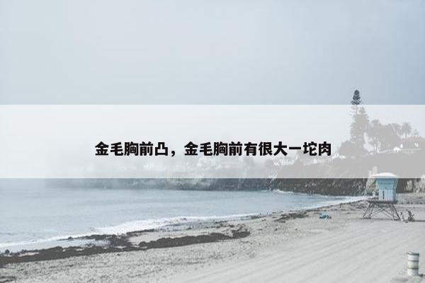 金毛胸前凸，金毛胸前有很大一坨肉