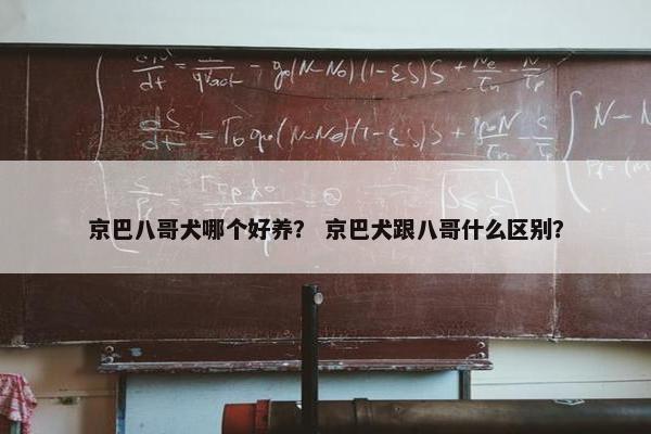 京巴八哥犬哪个好养？ 京巴犬跟八哥什么区别？