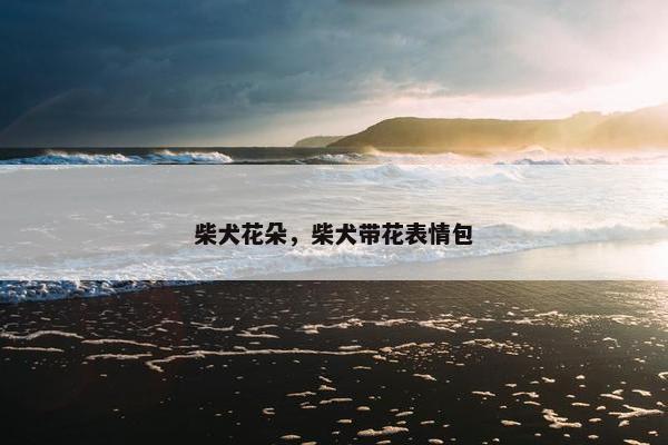 柴犬花朵，柴犬带花表情包