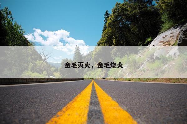 金毛灭火，金毛烧火