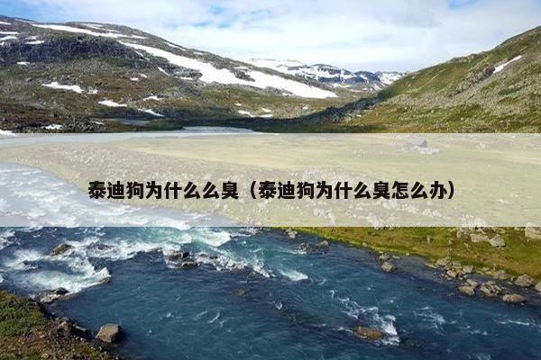 泰迪狗为什么么臭（泰迪狗为什么臭怎么办）