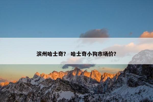 滨州哈士奇？ 哈士奇小狗市场价？