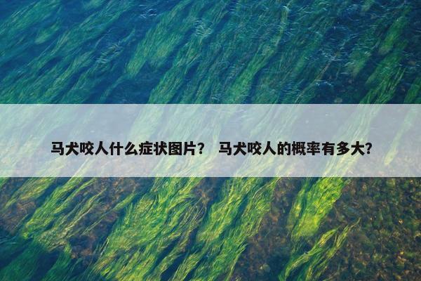 马犬咬人什么症状图片？ 马犬咬人的概率有多大？