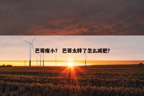巴哥瘦小？ 巴哥太胖了怎么减肥？
