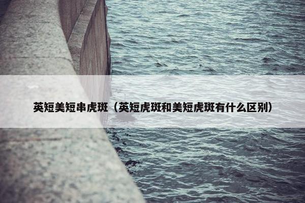 英短美短串虎斑（英短虎斑和美短虎斑有什么区别）