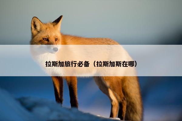 拉斯加旅行必备(拉斯加斯在哪)